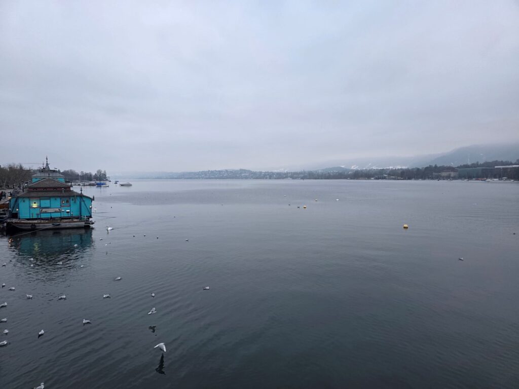 Glacier Express (01.02.2026) Blick auf den Zürichsee, im Hintergrund Nebelschwaden und am linken Rand ein türkises Boot am Anleger